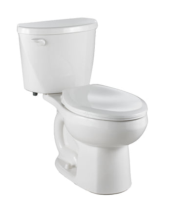 Elongated Lined Toilet