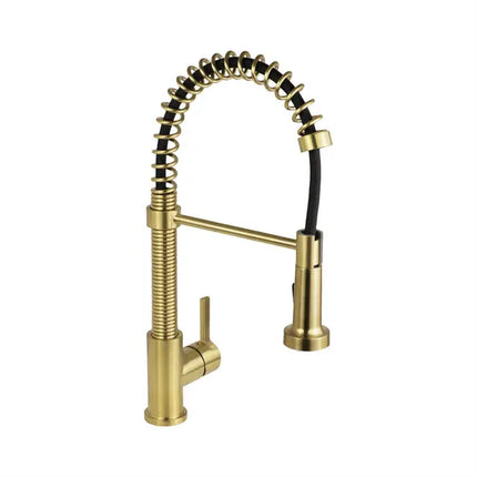 Cleo Edison Pull-Out Dual Spray Kitchen Faucet Matte Black - Plumbing Market