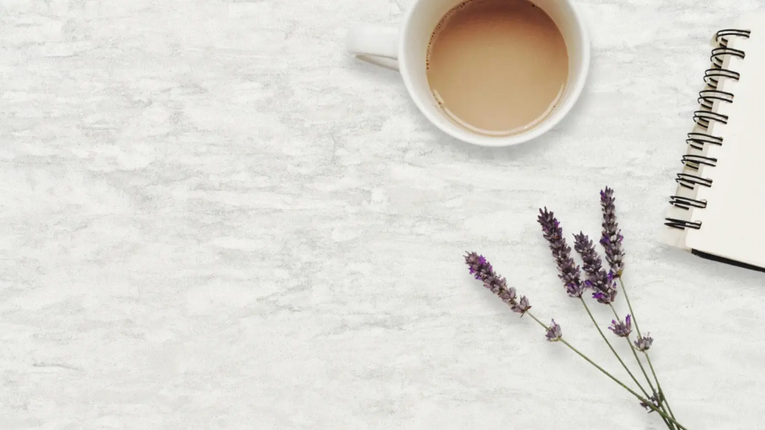 Hanstone Eden Quartz Polished White & Grey Jumbo Slab - Plumbing Market