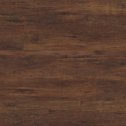 MSI Surfaces Cyrus 2.0 Braly 7X48 VTRBRALY7X48-5MM-20MIL - Plumbing Market