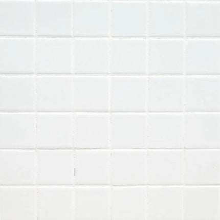 MSI Surfaces White 2X2 Matte SMOT-PT-RETBIA-2X2M - Plumbing Market