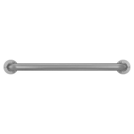 Moen Moen Home Care Stainless 24" Exposed Screw Grab Bar LR7524 - Plumbing Market