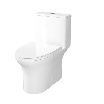 Rubi RMC Dual Flush One Piece Elongated Toilet With Soft Close Seat - Plumbing Market