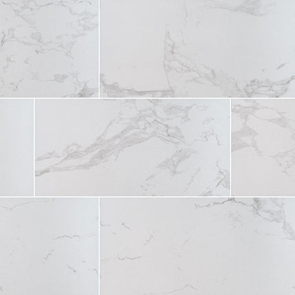 MSI SURFACES PRAIA CARRARA 12X24 POLISHED (Sold Per Box) NPRACAR1224P-N MSI Surfaces