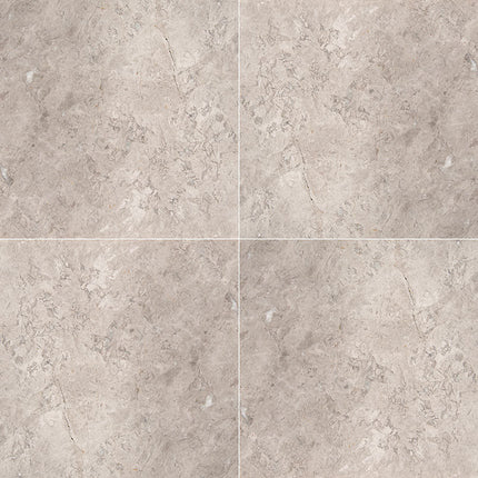 MSI SURFACES TUNDRA GRAY 12X12 (Sold Per Box) TTUNGRY1212P MSI Surfaces