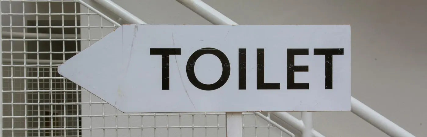 Toilets, which is better?