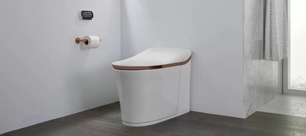 Smart Toilets