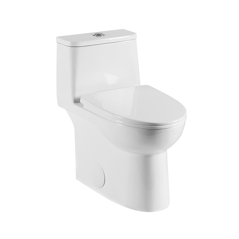 Rubi RTM One Piece Elongated Toilet Dual Flush With Softclose Seat RTM421BL