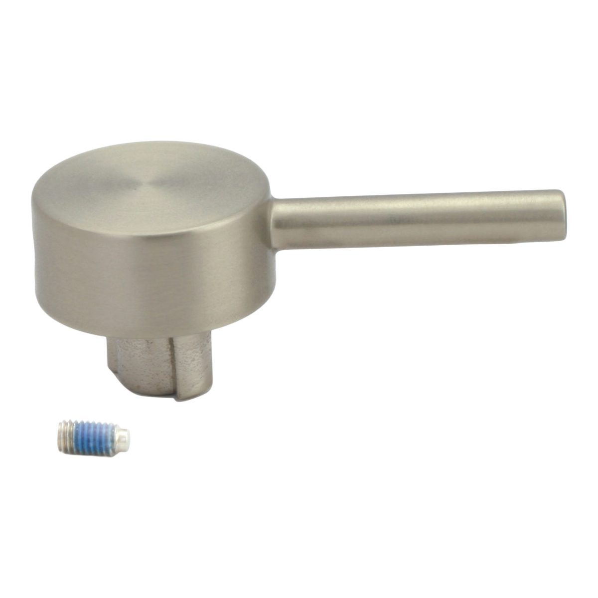 Moen Handle Kit 100895 in Spot Resist Stainless (100895SRS)