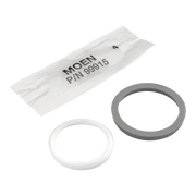 Moen Bearing Washer Kit 115061 in Chrome (115061)