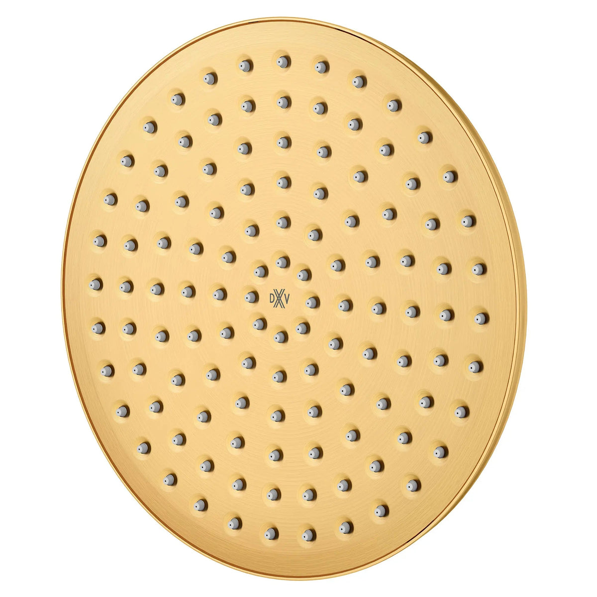 DXV Oak Hill Single Function 10 in. Round Rain Can Showerhead in Satin Brass (D35155110.427) - view 4