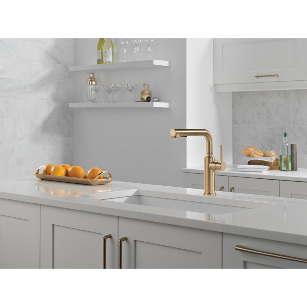 Delta Daneri Single Handle Pull-Out Kitchen Faucet