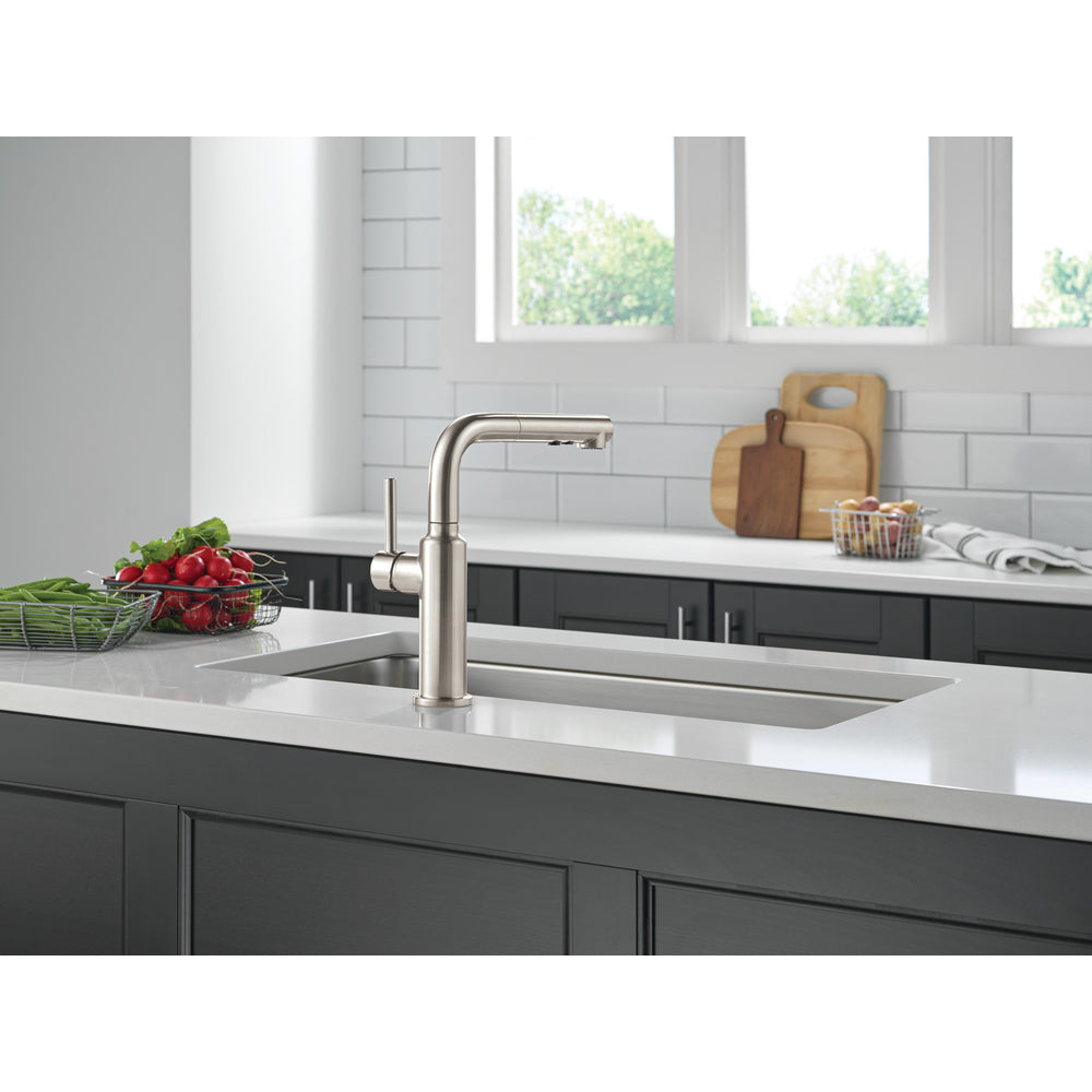 Delta Daneri Single Handle Pull-Out Kitchen Faucet