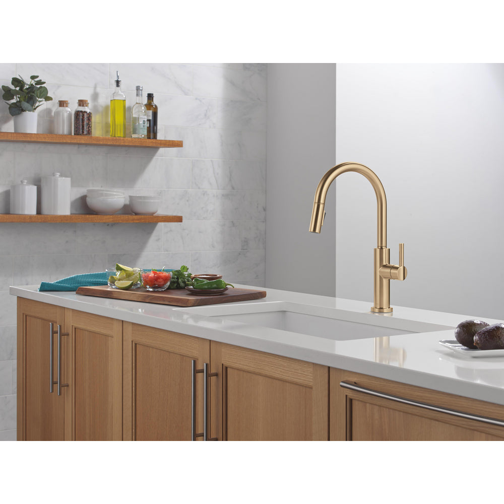 Delta Nicoli J Spout