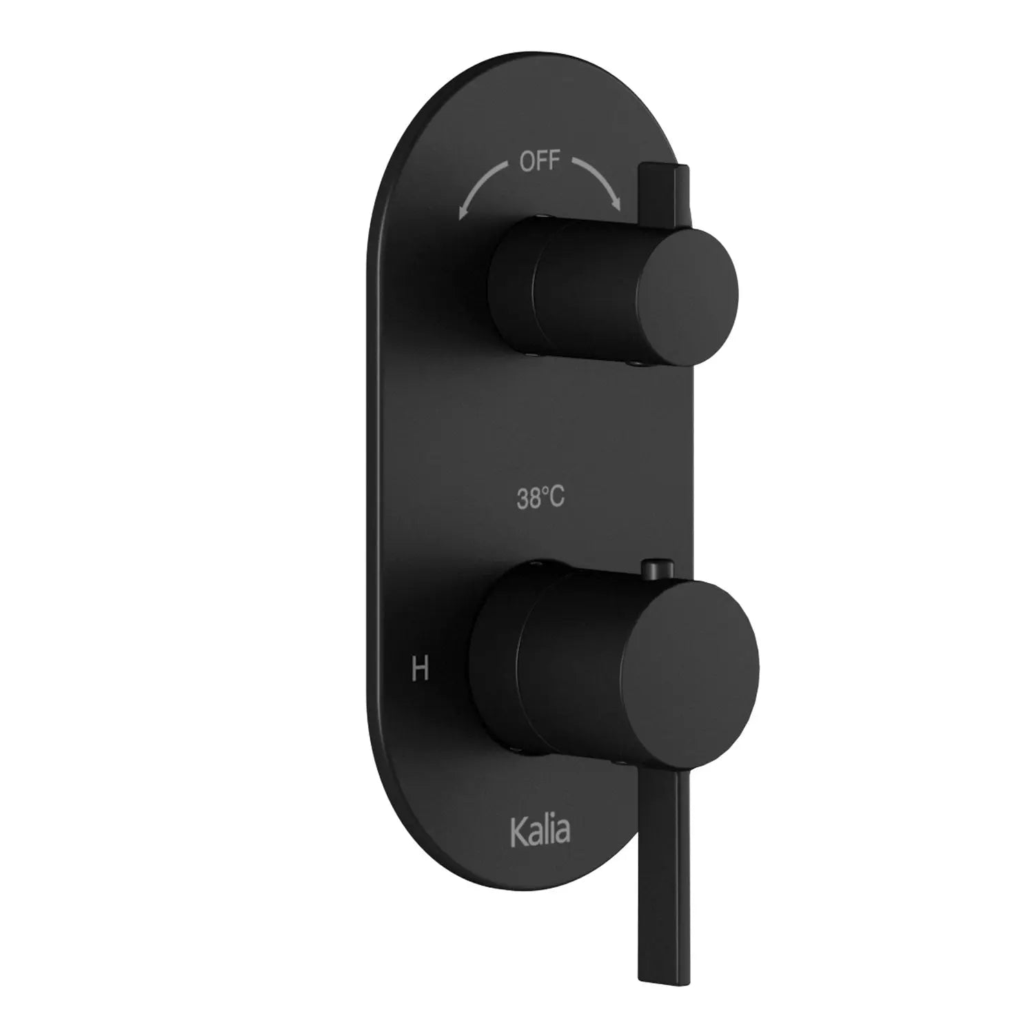 Kalia RoundOne 2-Way AQUATONIK Type T/P 1/2'' Valve with Diverter and Round Decorative Trim Matte Black BF1577-160 - Plumbing Market