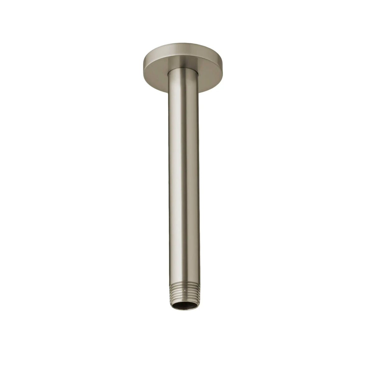DXV Contemporary Ceiling Mount 6 in. Shower Arm in Brushed Nickel (D35702306.144)