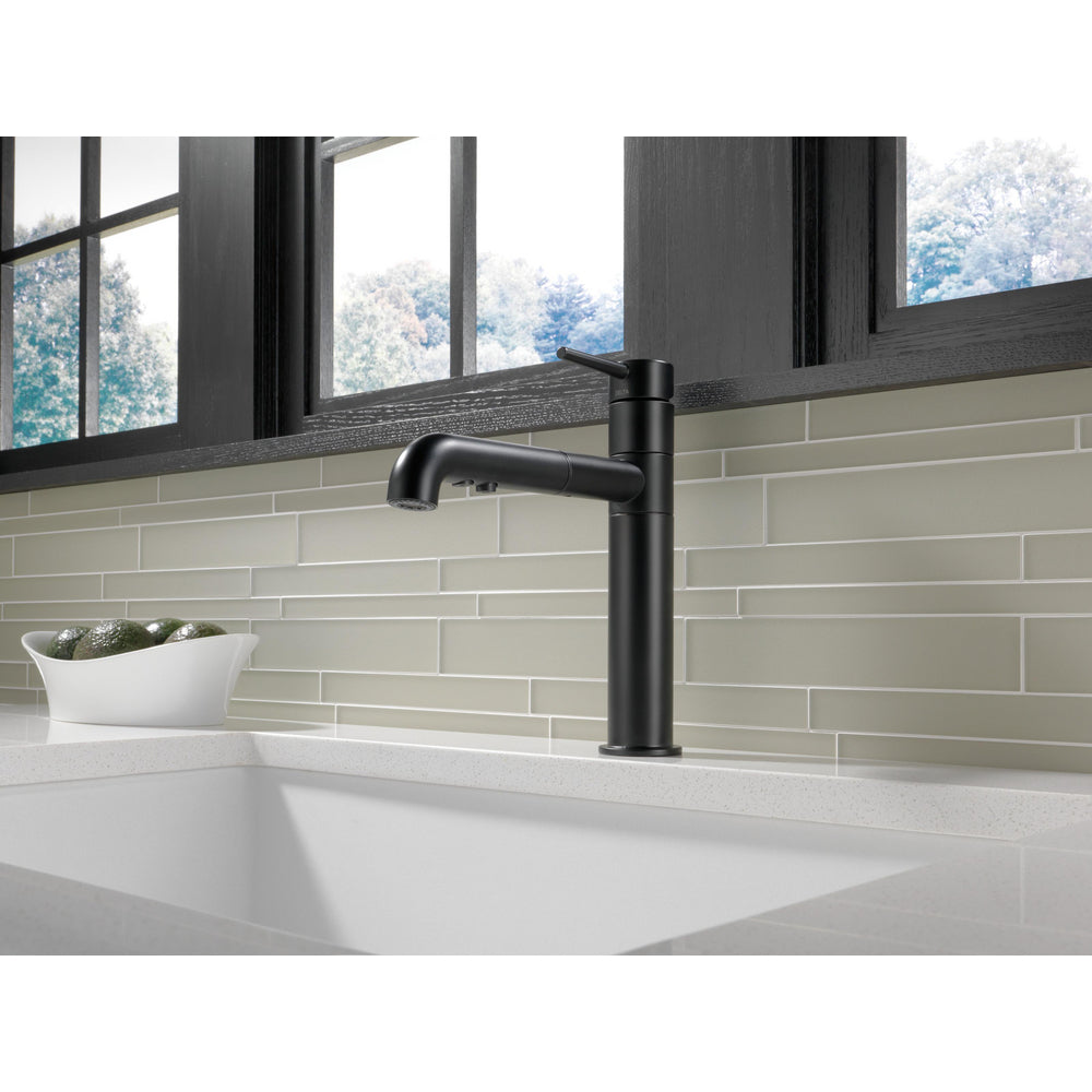 Delta Trinsic Pull Out Kitchen Faucet