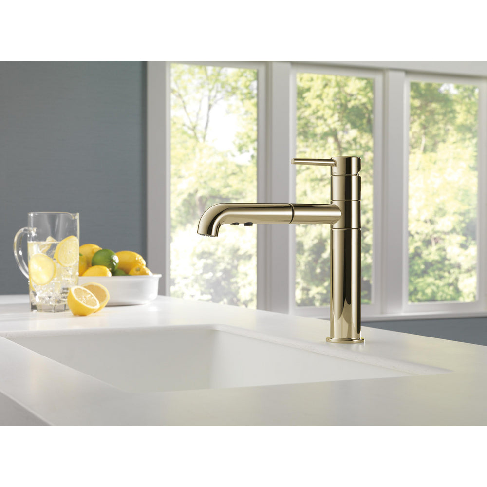Delta Trinsic Pull Out Kitchen Faucet