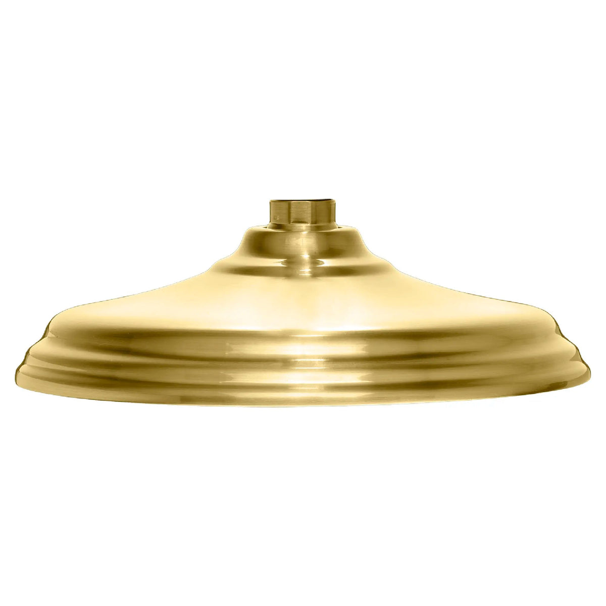DXV Traditional Single Function 8 in. Round Rain Can Showerhead in Satin Brass (D3570010C.427)