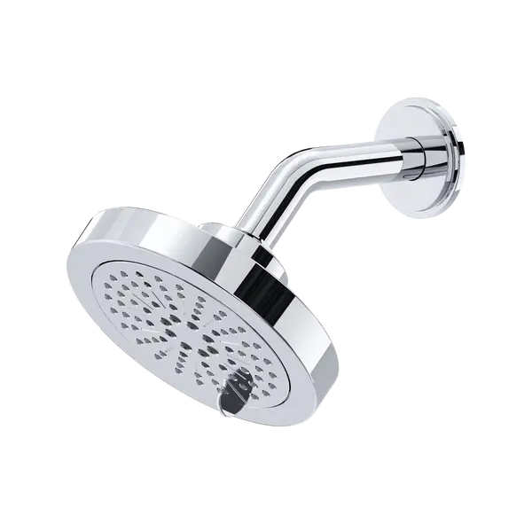 5" 6-Function Showerhead With Arm - Plumbing Market