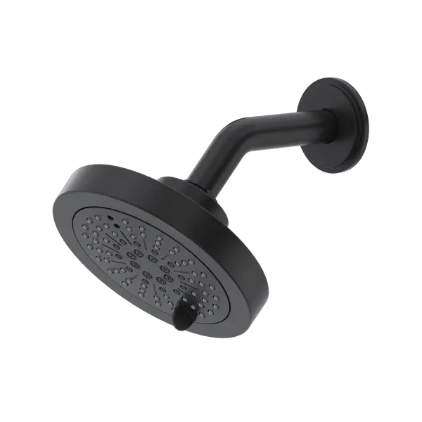 5" 6-Function Showerhead With Arm - Plumbing Market