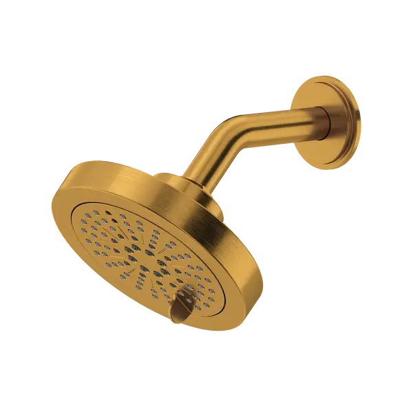 5" 6-Function Showerhead With Arm - Plumbing Market