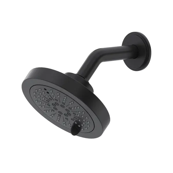5" 6-Function Showerhead With Arm - Plumbing Market