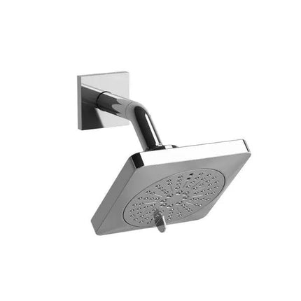 5" 6-Function Showerhead With Arm - Plumbing Market