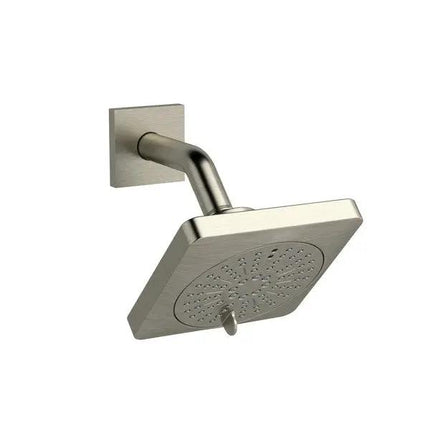 5" 6-Function Showerhead With Arm - Plumbing Market
