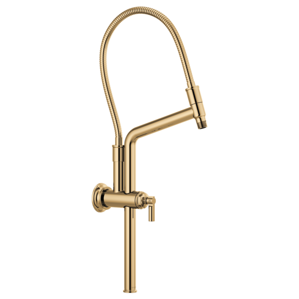 Brizo 10 7/16" Classic Slide Bar Shower Arm And Flange 81376-PG - Plumbing Market