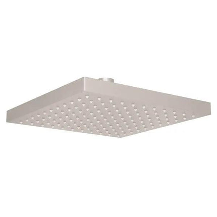 8" Rain Showerhead - Plumbing Market