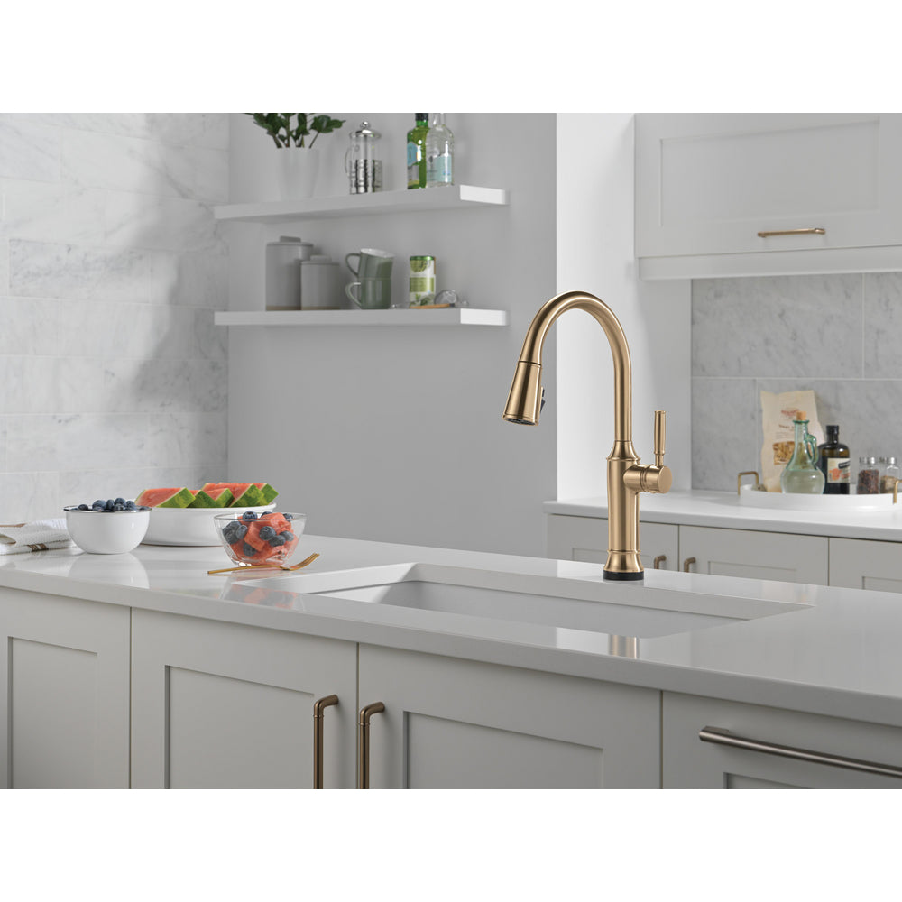 Delta Renaldi Touch2O Kitchen Faucet with Touchless