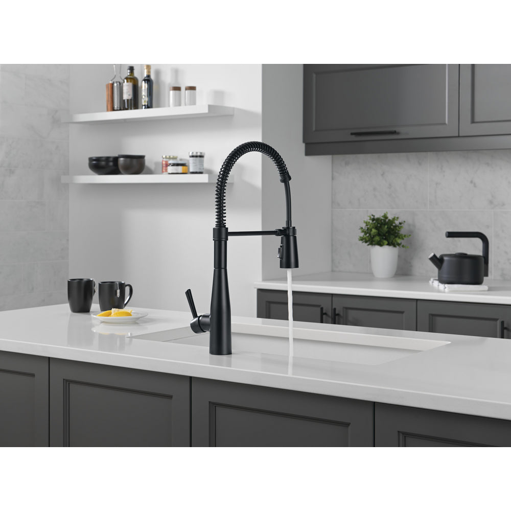 Delta Essa Single-Handle Pull-Down Spring Kitchen Faucet