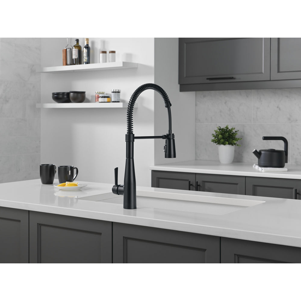 Delta Essa Single-Handle Pull-Down Spring Kitchen Faucet