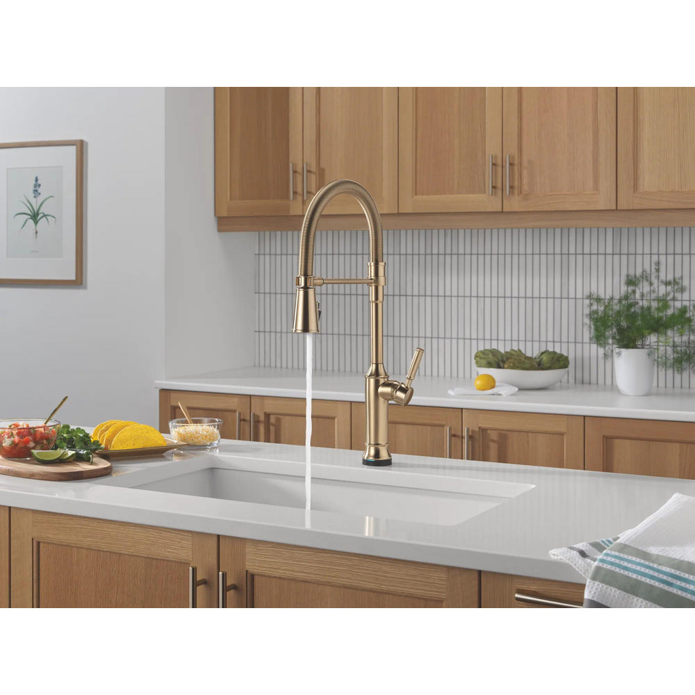 Delta Renaldi Touch2O Technology Kitchen Faucet