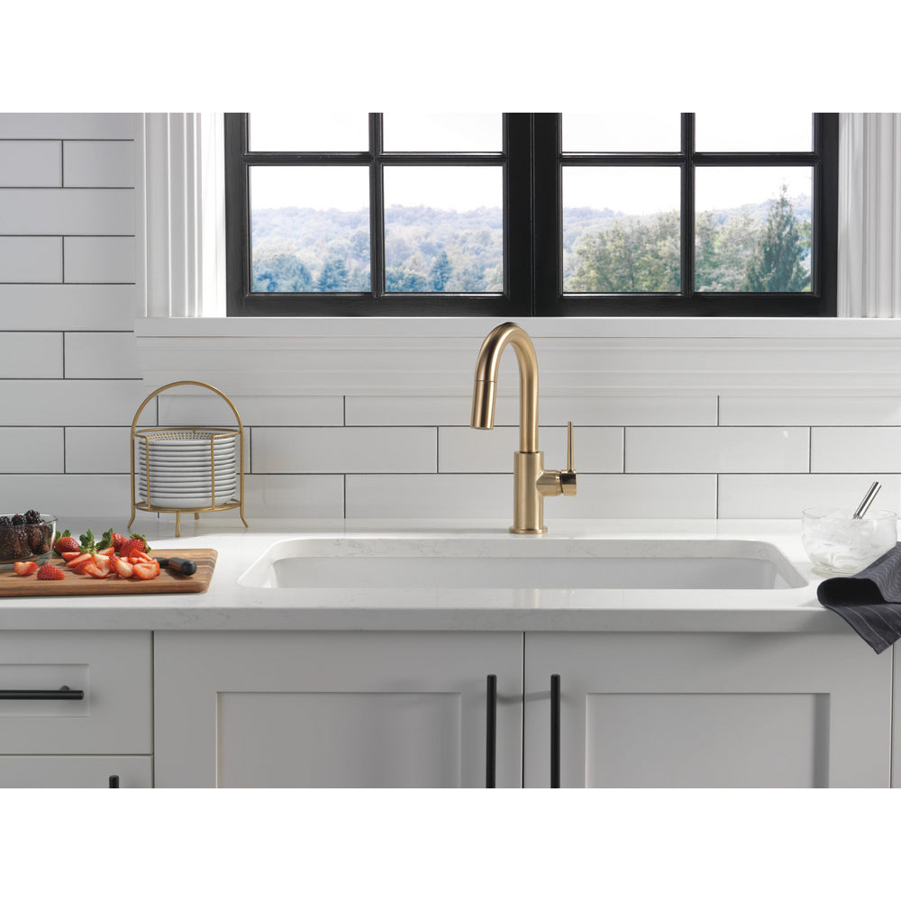Delta Trinsic Pull-Down Bar/Prep Faucet
