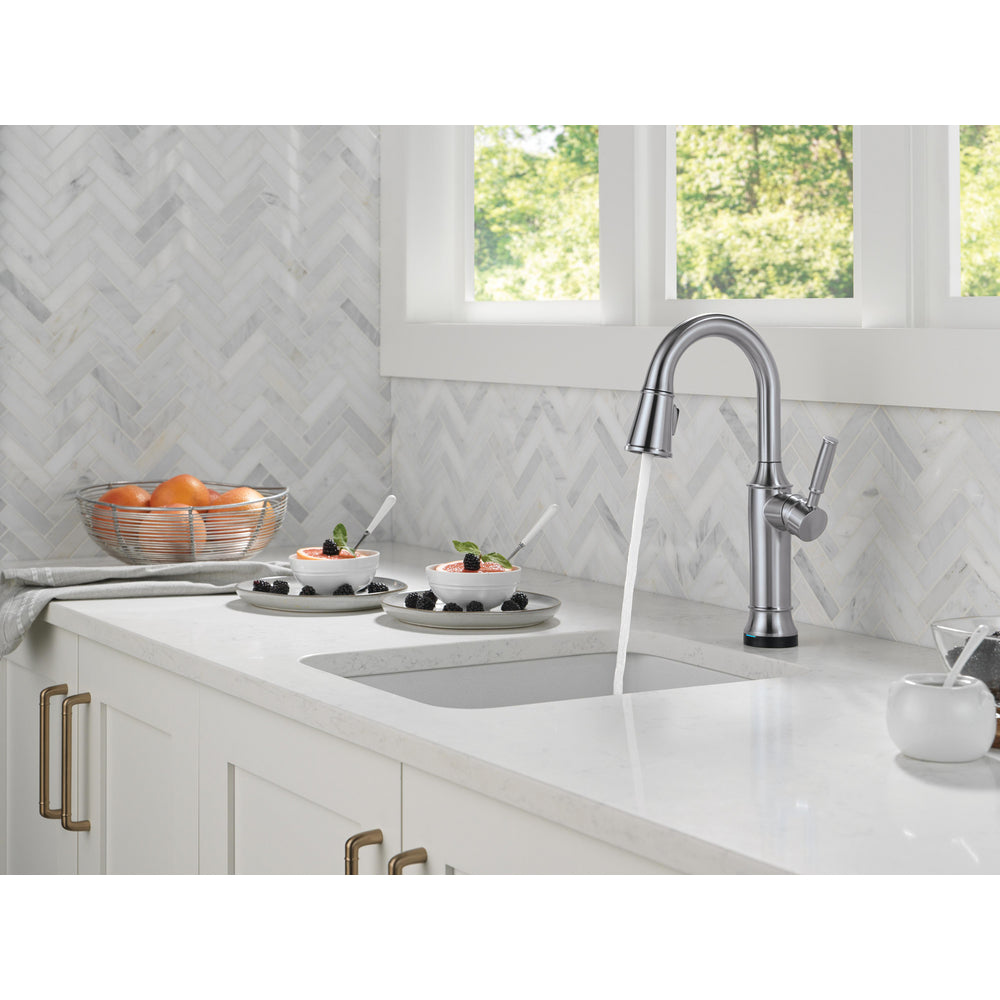 Delta Renaldi Touch2O Bar / Prep Faucet with Touchless