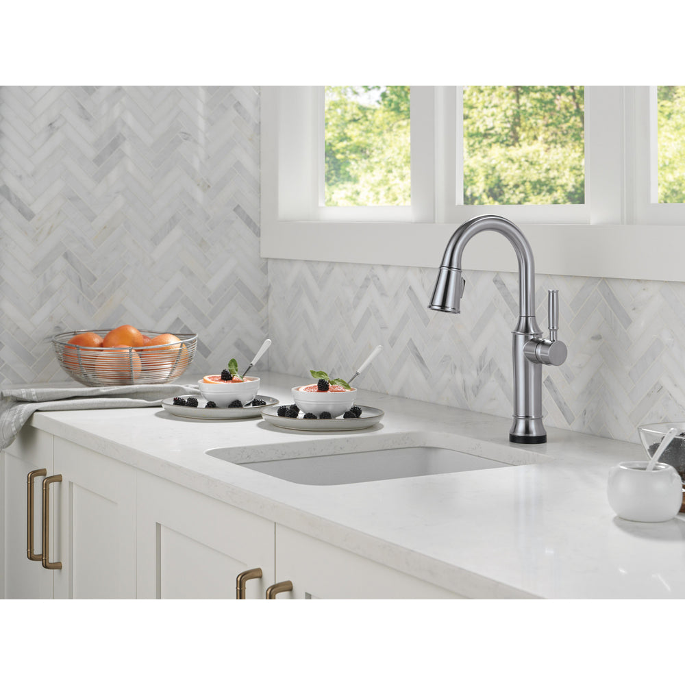 Delta Renaldi Touch2O Bar / Prep Faucet with Touchless