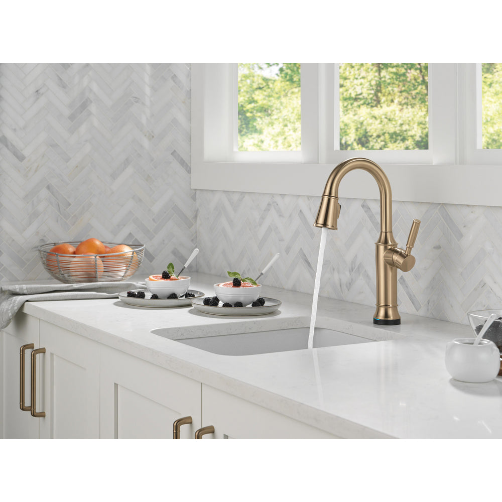 Delta Renaldi Touch2O Bar / Prep Faucet with Touchless