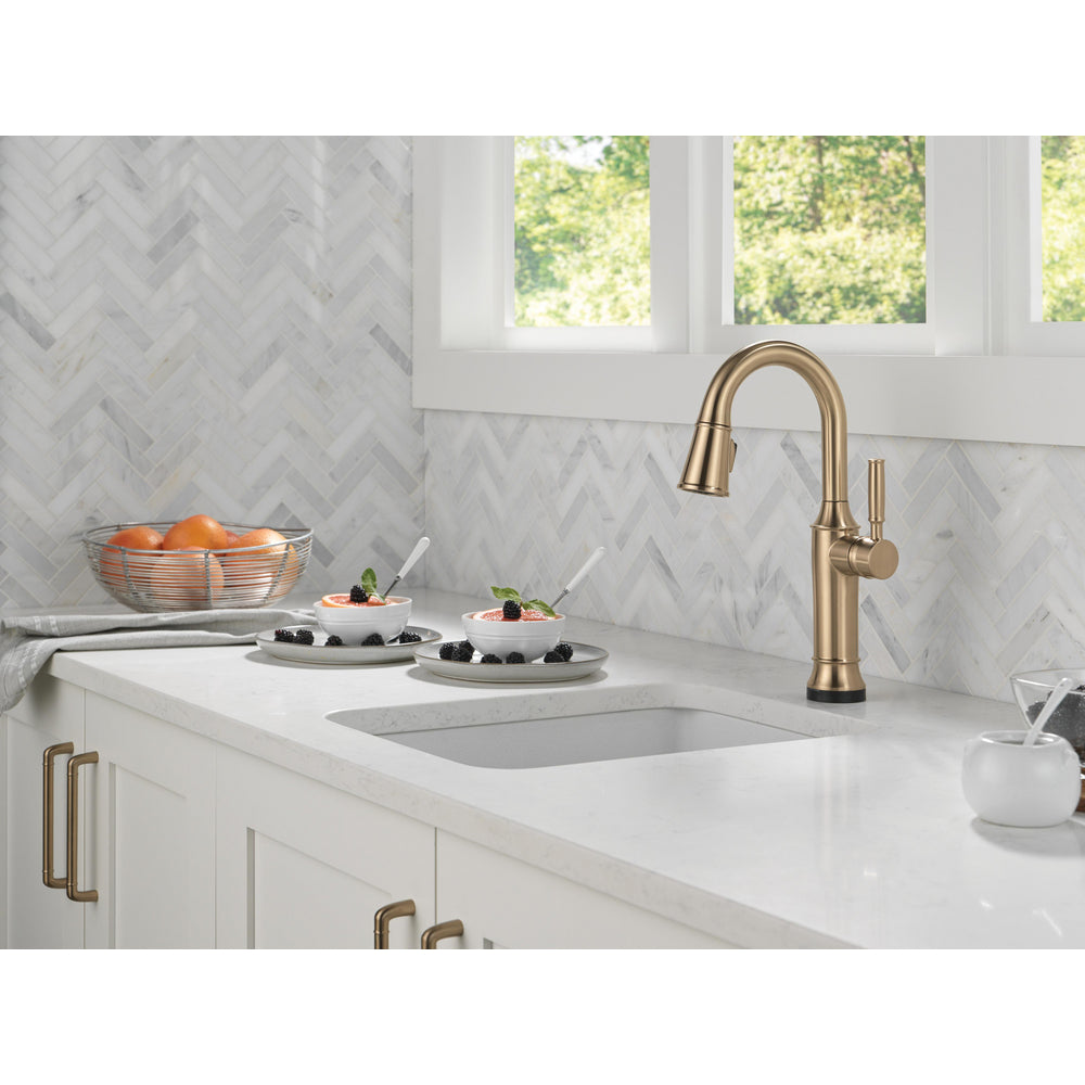 Delta Renaldi Touch2O Bar / Prep Faucet with Touchless
