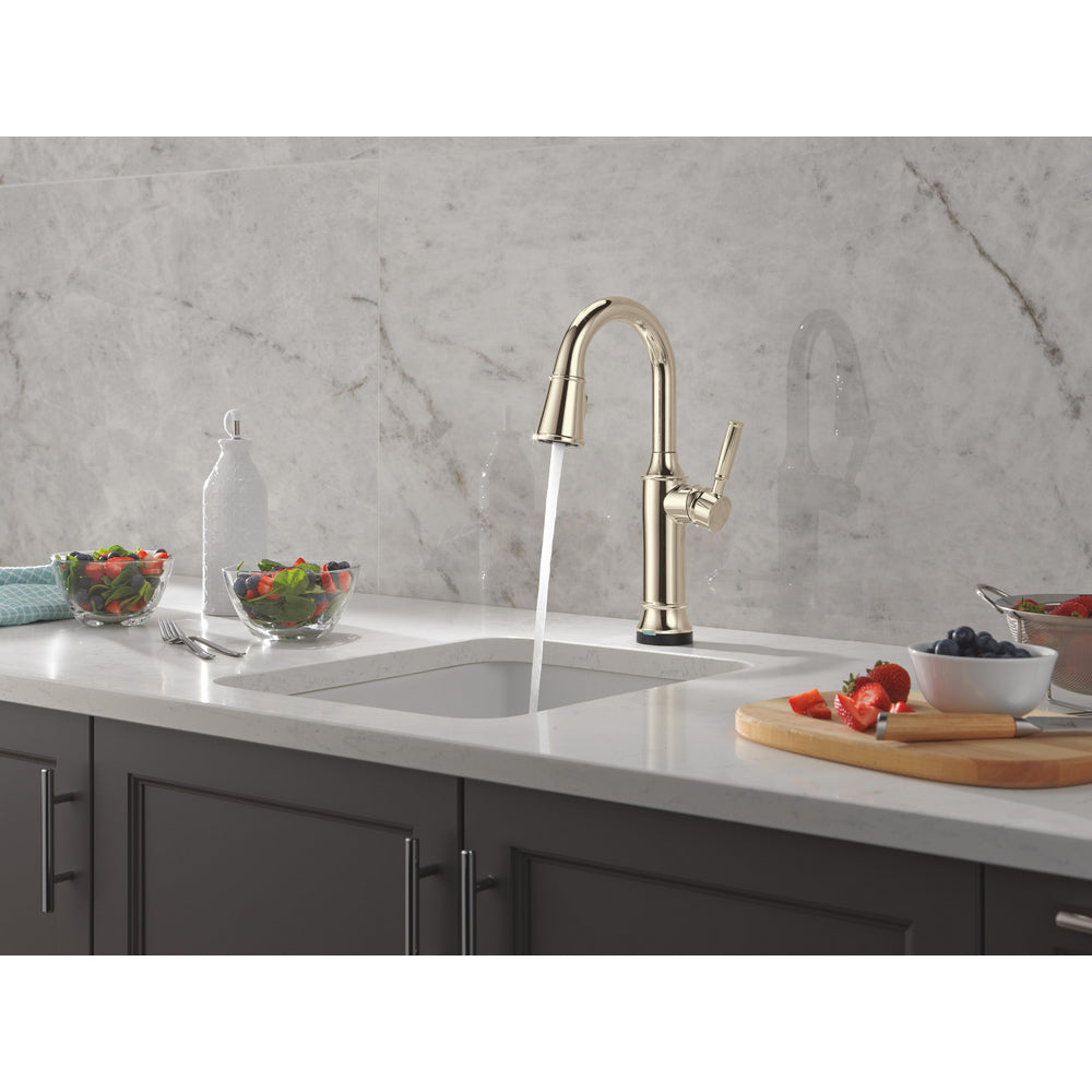 Delta Renaldi Touch2O Bar / Prep Faucet with Touchless