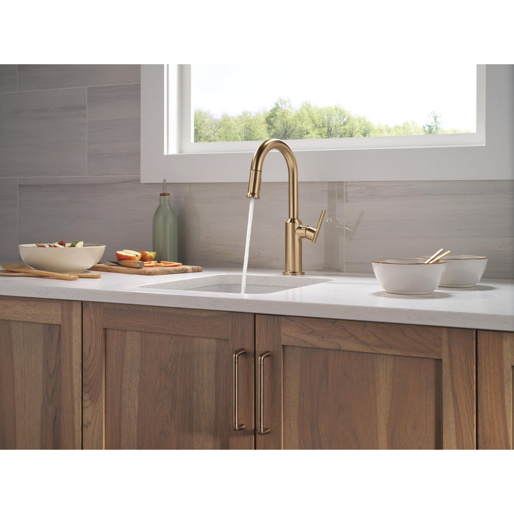 Delta Cordova-Bar/Prep Pulldown Faucet Arc Spout