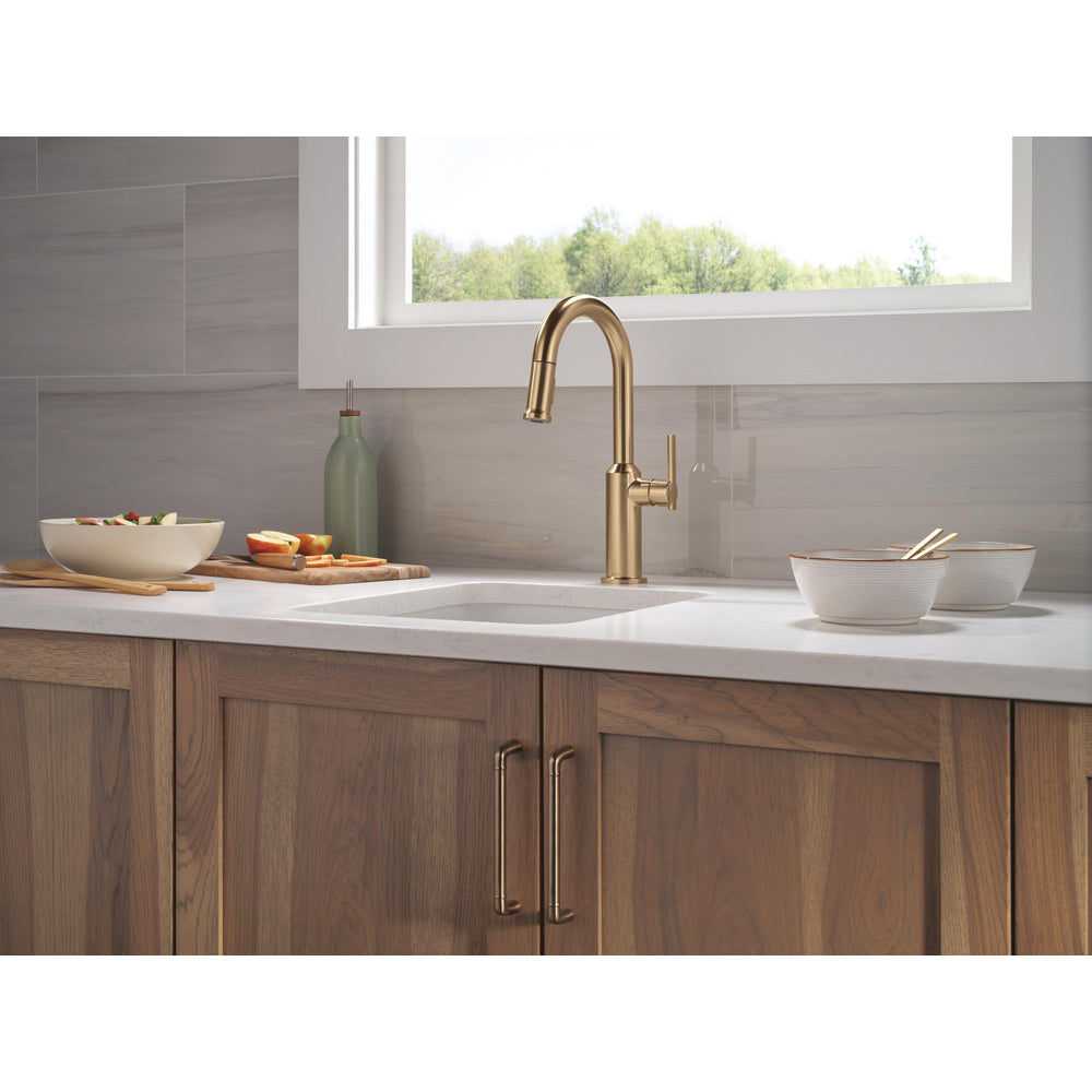 Delta Cordova-Bar/Prep Pulldown Faucet Arc Spout