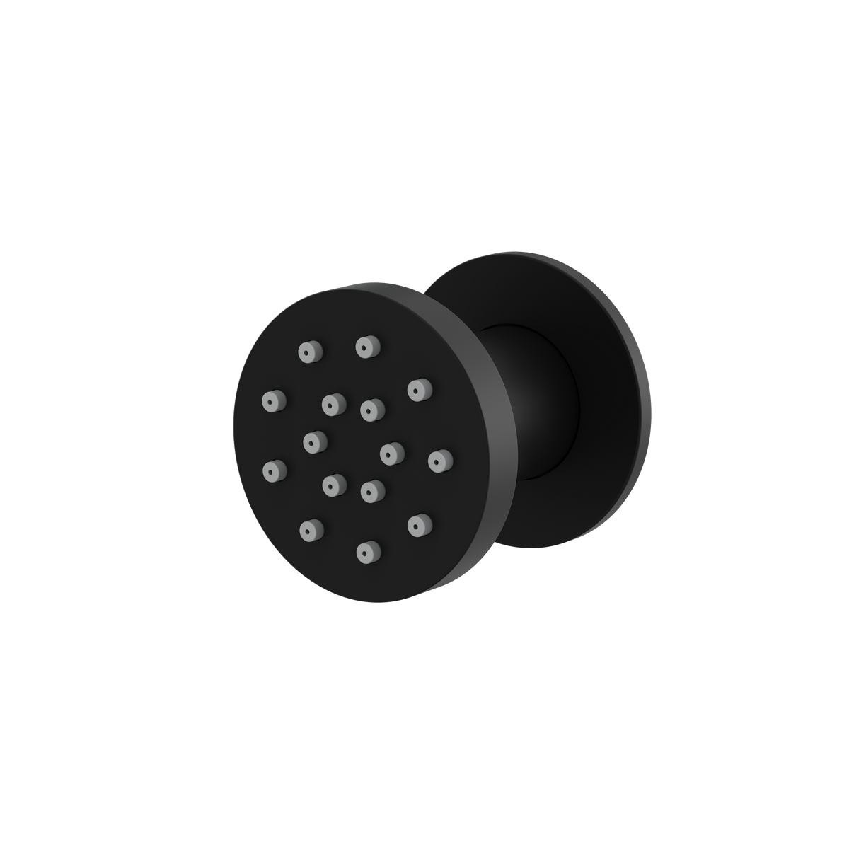 Aquabrass Round Pivoting Body Jet 2566 in electro black