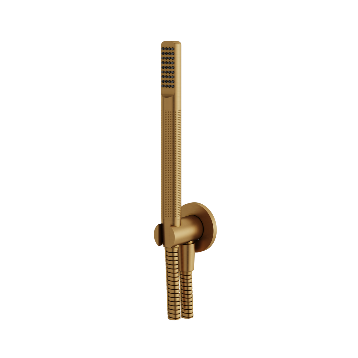 Aquabrass Round Handshower Set HSS364 in brushed gold