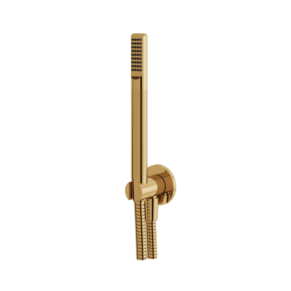 Aquabrass Round Handshower Set HSS364 in polished gold