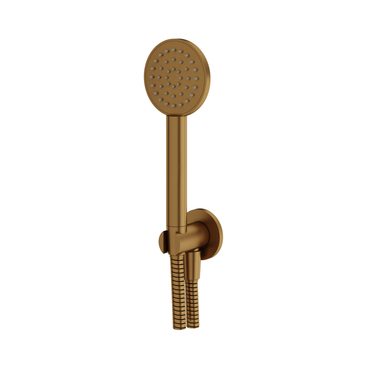 Aquabrass Round Handshower Set HSS365 in brushed gold