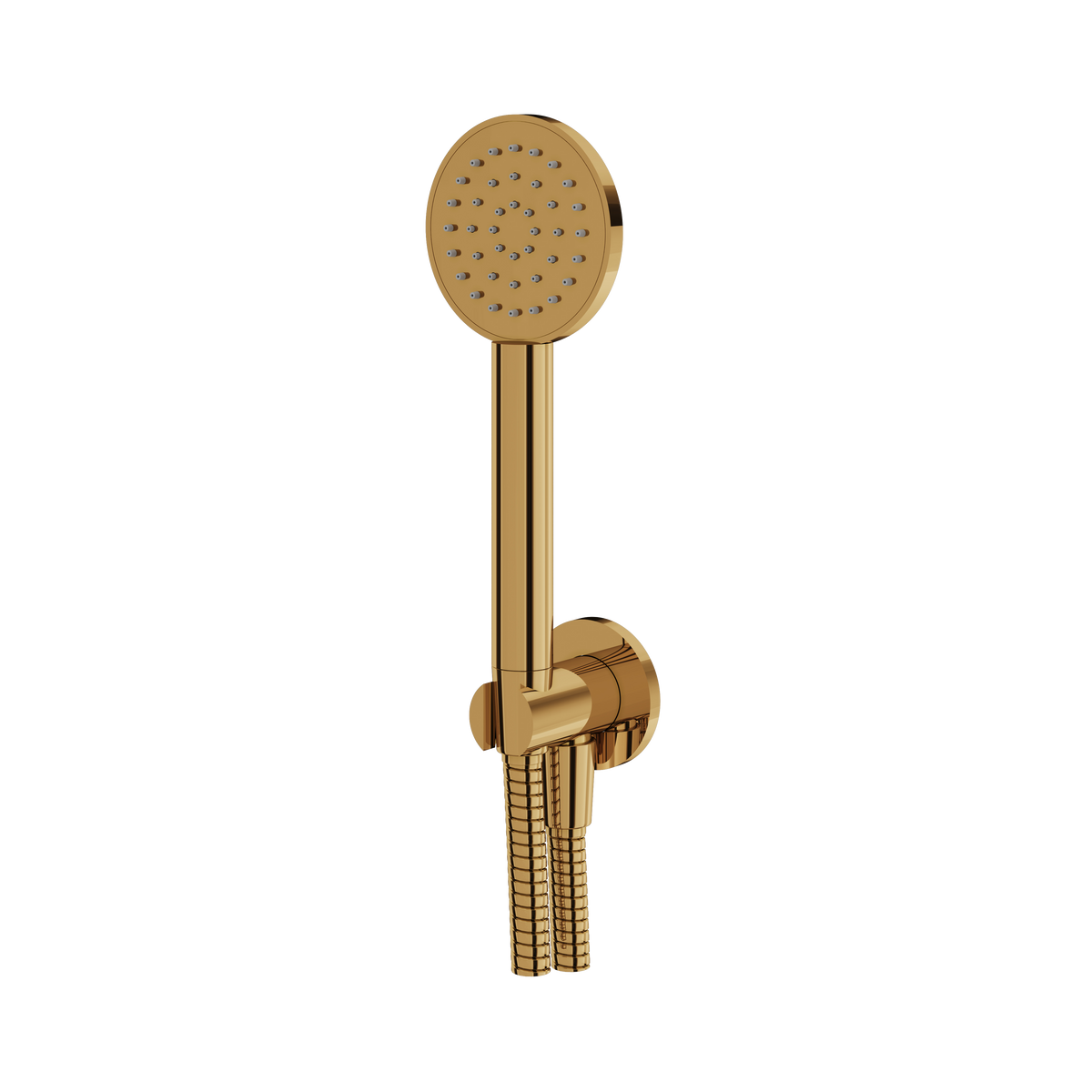 Aquabrass Round Handshower Set HSS365 in polished gold