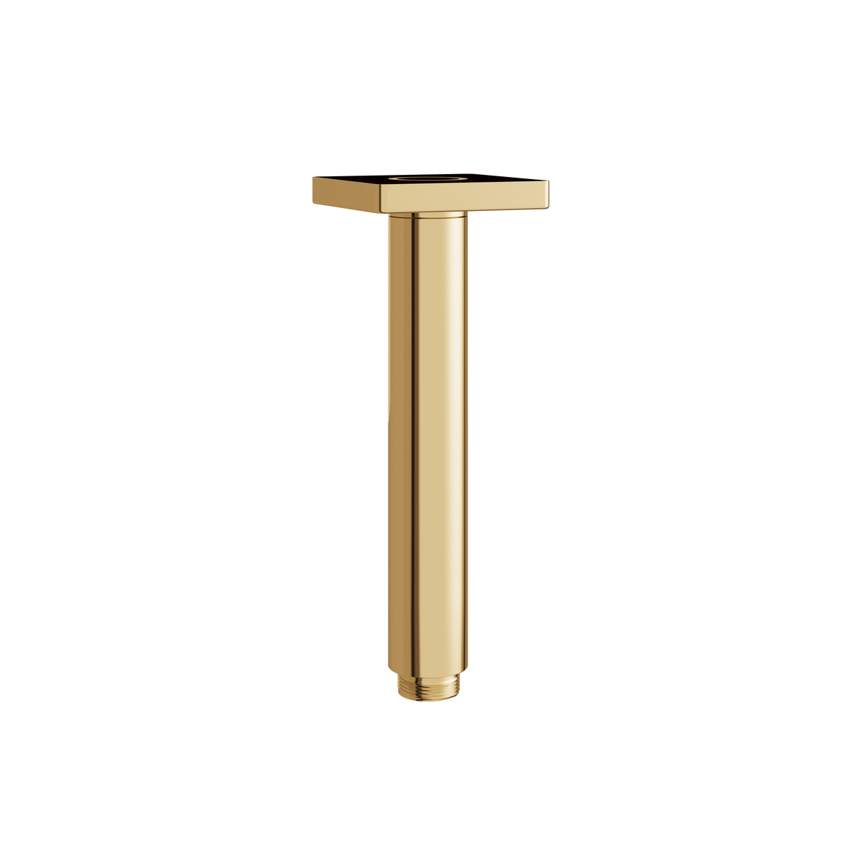 Aquabrass 6” Round Ceiling Drop with Square Flange SCD06 in polished gold