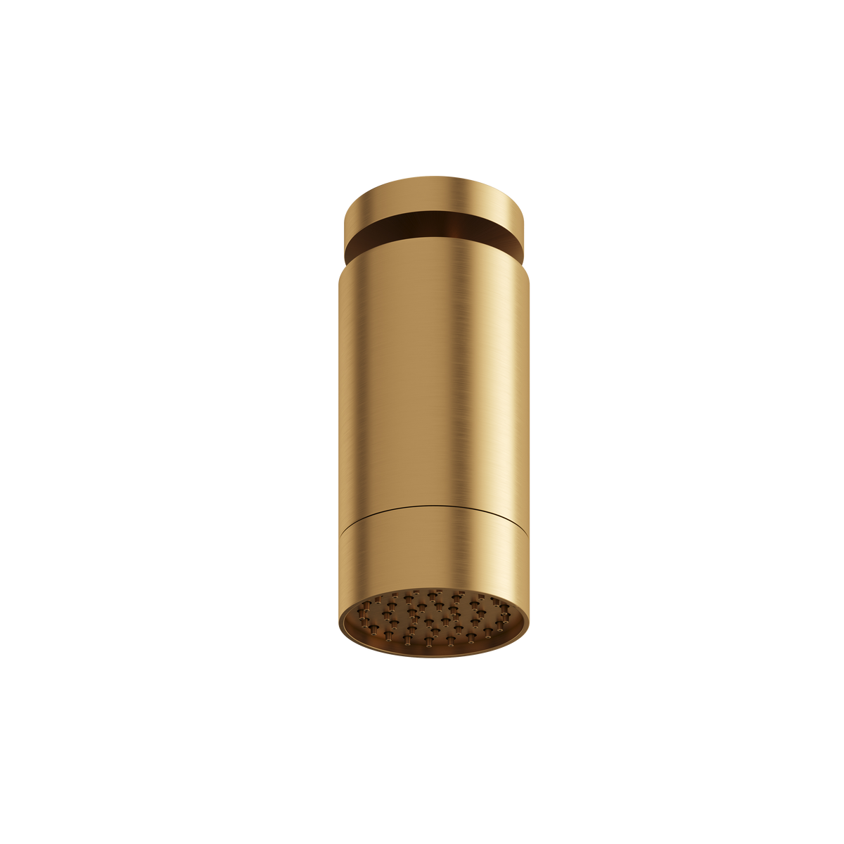 Aquabrass Rainhead with Ceiling Shower Arm – Smooth Ring SPS65 in brushed gold